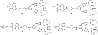 1,8-Naphthalimide-Based Multifunctional Compounds as Cu2+ Probes, Lysosome Staining Agents, and Non-viral Vectors